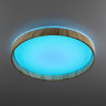 Потолочный светильник Citilux Enzo CL753452G