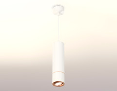 Подвесной светильник Ambrella Light Techno Spot XP7401055 (A2310, C7455, A2073, C7401, N7005)
