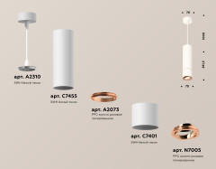 Подвесной светильник Ambrella Light Techno Spot XP7401055 (A2310, C7455, A2073, C7401, N7005)