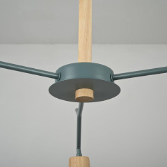 Люстра на штанге ImperiumLoft Les color 220514-23