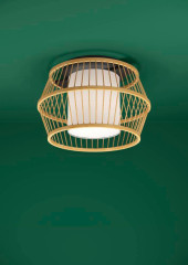 Потолочный светильник Eglo Monterroso 390232