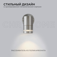 Уличный настенный светильник Apeyron Chrome 11-110