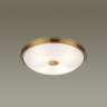 Настенно-потолочный светильник Odeon Light Pelow 4956/4
