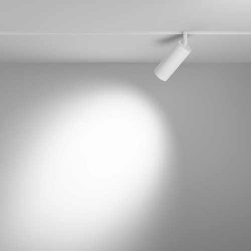Трековый магнитный светильник Maytoni Focus LED TR032-4-12WTW-M-DD2-W