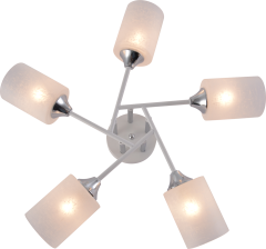 Потолочная люстра Rivoli Federica 9178-305 Б0068392