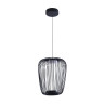 Подвесной светильник Arte Lamp Flare A3528SP-12BK