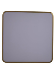 Потолочный светильник Zortes Monna ZRS.1209.03