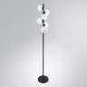Торшер Arte Lamp Gemini A2243PN-6BK