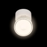 Накладной спот Loft IT Focus 10323/A White