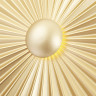 Настенный светильник Crystal Lux HOLA AP4W LED D250