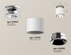 Потолочный светильник Ambrella Light Techno Spot XS7510080 (N7927, C7510, N7032)