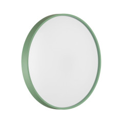 Настенно-потолочный светильник Sonex Color Mavic 7743/ELN