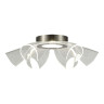 Потолочная люстра ST Luce Fairy SL6235.102.20