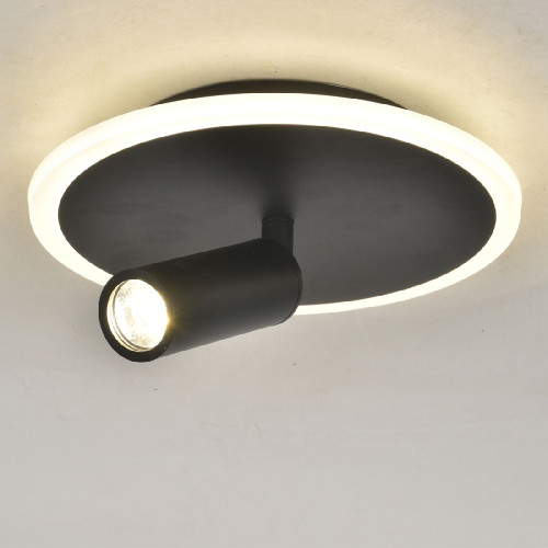 Настенно-потолочный светильник Escada 20046SMA/01LED BK