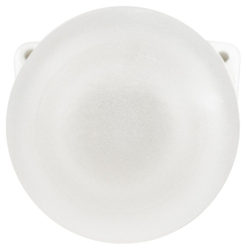 Настенно-потолочный светильник Эра НББ 02-60-002 Б0064018