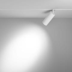 Трековый магнитный светильник Maytoni Focus LED TR032-4-20WTW-M-DD2-W