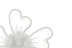Потолочная люстра Natali Kovaltseva INNOVATION STYLE 83030