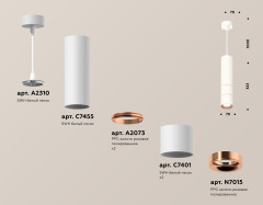 Подвесной светильник Ambrella Light Techno Spot XP7401100 (A2310, C7455, A2073, C7401, N7015)