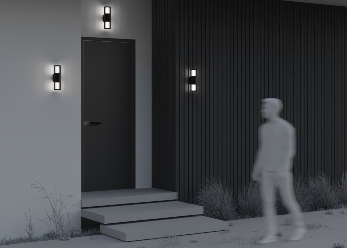 Уличный настенный светильник Maytoni Alura O492WL-02GF