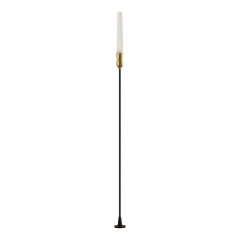 Ландшафтный светильник Odeon Light Canna 7020/4GA
