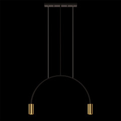 Подвесной светильник Loft IT 5043-2