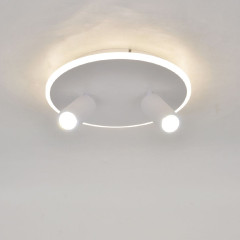 Настенно-потолочный светильник Escada 20046SMA/02LED WH