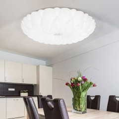 Потолочный светильник ЭРА SPB-6-40 Malo Б0051083