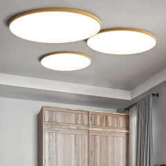 Потолочный светильник ImperiumLoft Slim 178444-26