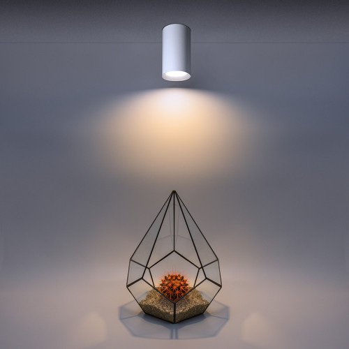 Накладной светильник Wolta Basic WSL-GU10/01W