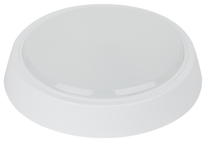 Настенно-потолочный светильник Эра SPB-301-2-4K-20 Б0055046