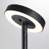 Ландшафтный светильник Odeon Light Nature Disc 7189/6GL