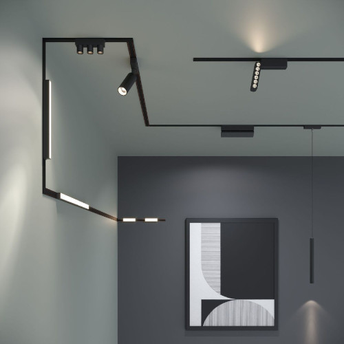 Трековый магнитный светильник Elektrostandard Flat magnetic 4690389197147 a063696