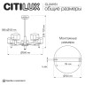 Люстра на штанге Citilux Elan CL241151