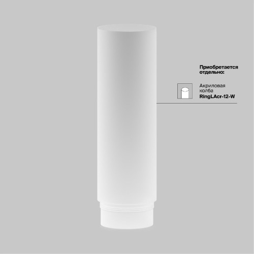Трековый магнитный светильник Maytoni Focus Led TR032-2-12W3K-M-BW