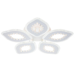 Потолочный светильник Escada Dew 10271/5LED