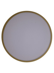 Потолочный светильник Zortes Gabby ZRS.90610.30