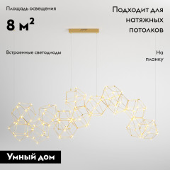 Подвесная люстра Eurosvet Uma 90168/14 медь a061147