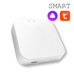 Конвертер WI-FI для трековой системы EKS Colibri Smart 0У-00002005