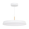 Подвесной светильник Arlight SP-ELEGANT-R500-37W Day4000 (WH, 120 deg, 230V) 033924(1)
