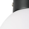 Потолочный светильник Lightstar Globo 812017