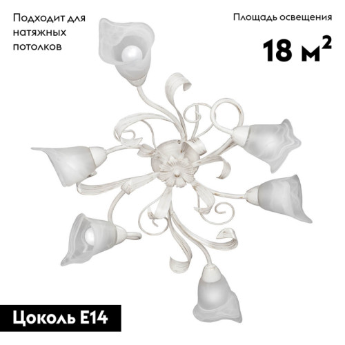 Потолочная люстра Vitaluce V3747-0/6PL