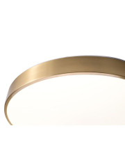 Потолочный светильник Zortes Monna ZRS.1209.12