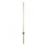 Настенный светильник Loft IT Rays 10052GD
