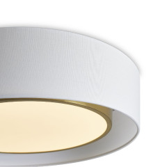Потолочный светильник Freya Cozy FR6170CL-L52BS