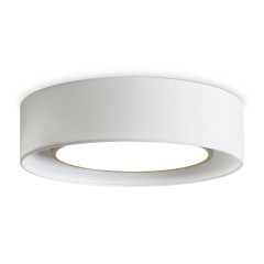 Потолочный светильник Freya Cozy FR6170CL-L52BS