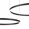 Подвесная люстра Indigo Galass 14001/2P Black V000030L