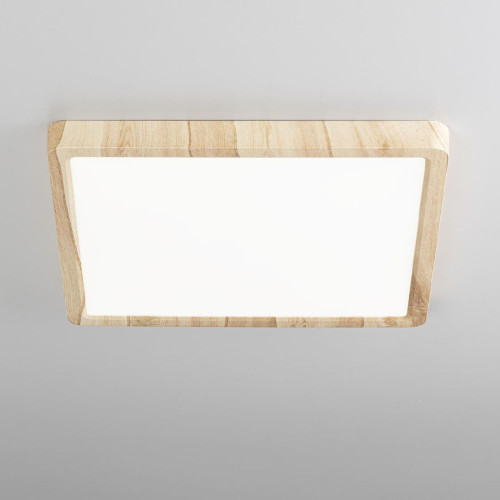 Потолочный светильник Citilux Бейсик CL738K242V