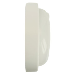 Настенно-потолочный светильник Feron AL3006 48995