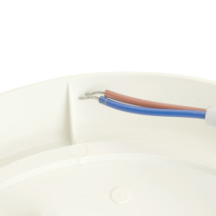 Настенно-потолочный светильник Feron AL3006 48995