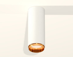 Потолочный светильник Ambrella Light Techno Spot XS6342005 (C6342, N6124)